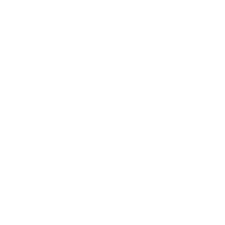 Encryption and security burning